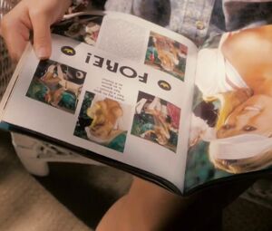 Naked Celbrity - Irina Voronina, Nathalie Walker, Kim Knight, LoriDawn Messuri from the movie "Towelhead" (2007)