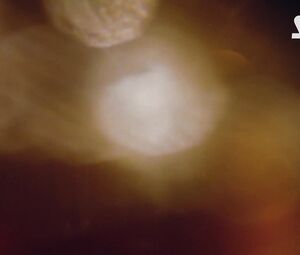 Hot and Sexy - Erotic Short Clip