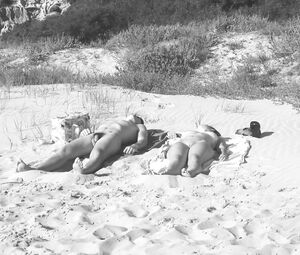 Inmaculada Moral, Alicia Fernandez nude - El nudista (2015)